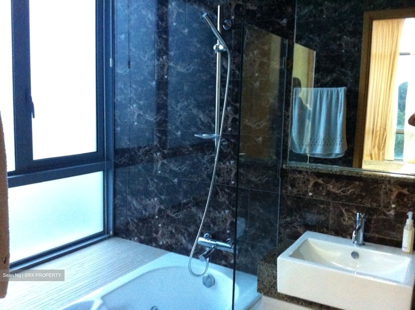 Viz At Holland (D10), Condominium #358877261
